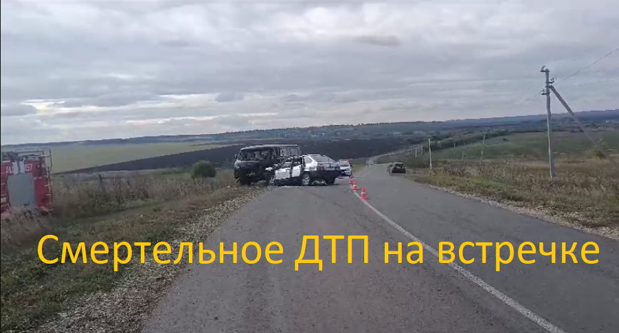 Смертельное ДТП случилось в Пильнинском районе Нижегородской области