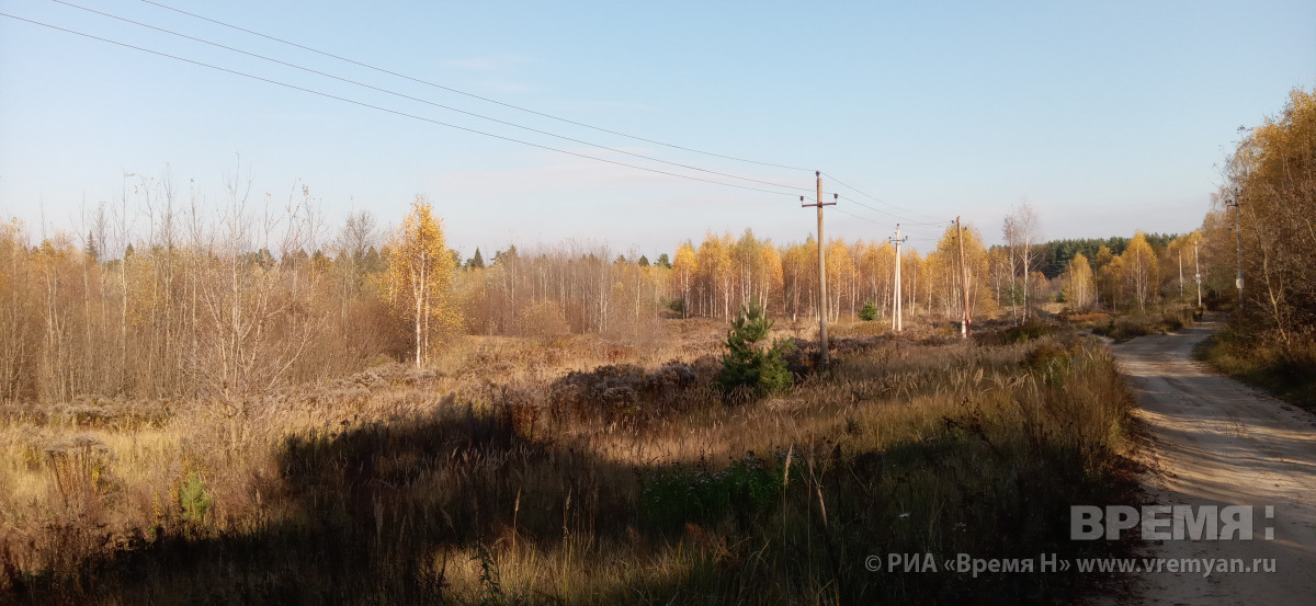 Высокая пожароопасность сохранится в Нижегородской области до 19 сентября
