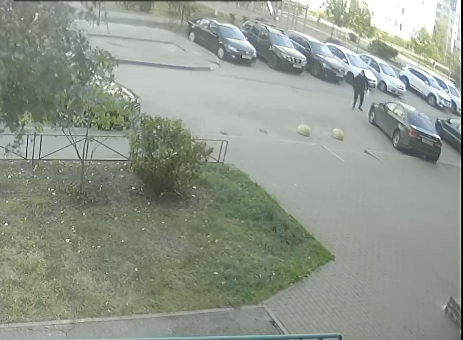 Появилось видео нападения нижегородца с битой на школьников