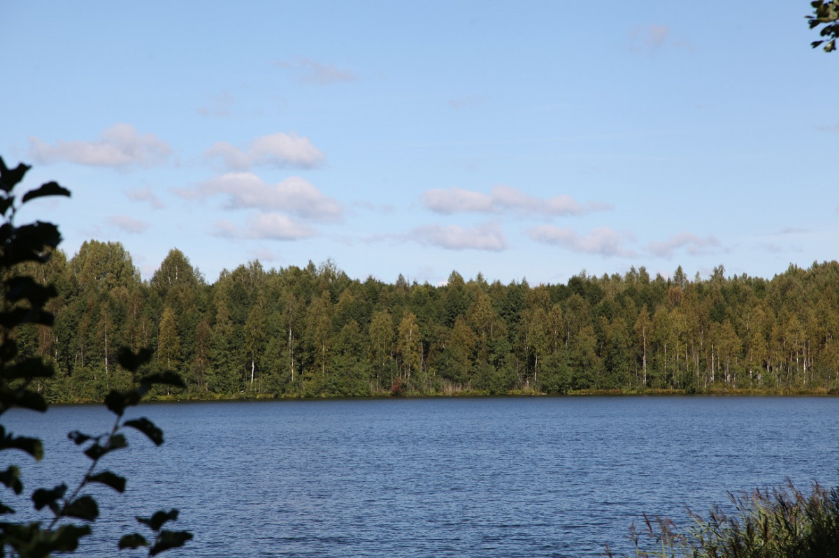 Ученый Мининского университета раскрыл тайну возникновения озера Светлояр