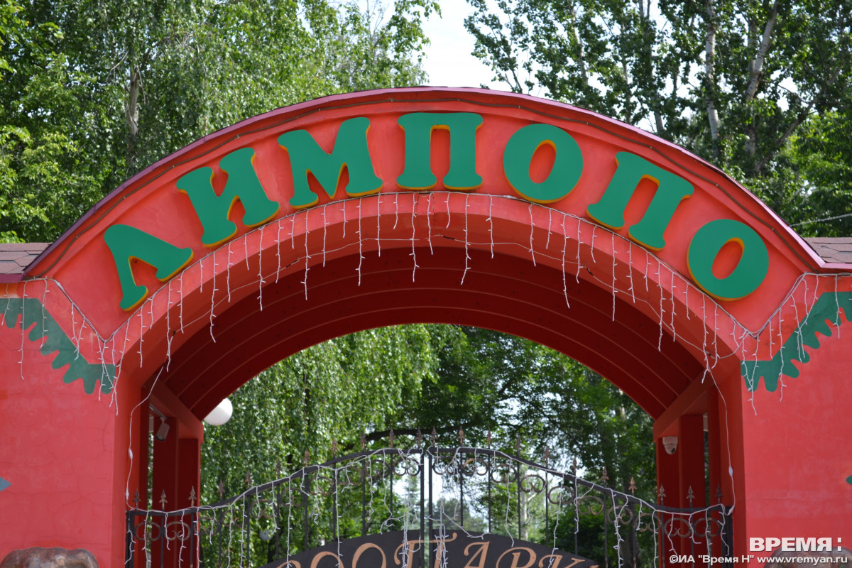 Режим работы нижегородского зоопарка «Лимпопо» изменится с 10 октября