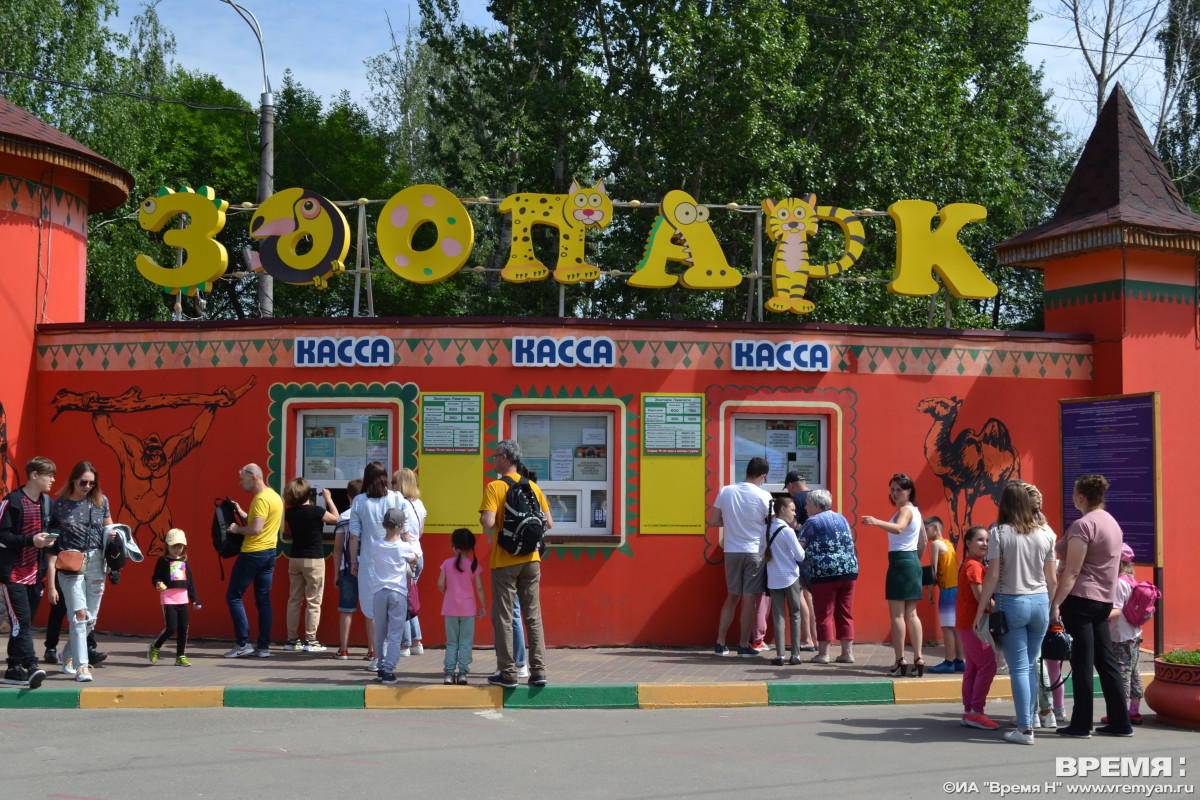 Посетители в белом смогут посетить нижегородский зоопарк «Лимпопо» со скидкой