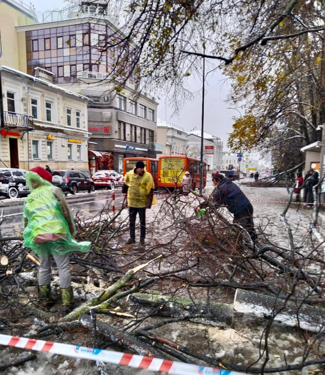 Более 200 деревьев повалено в Нижнем Новгороде из-за сильного ветра