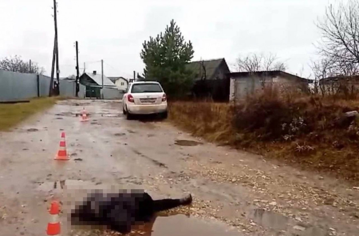 Пенсионерка погибла под колесами иномарки в Заволжье