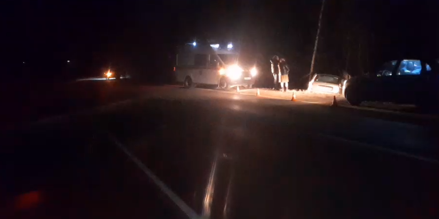 Водитель улетел в кювет, врезался в дерево и погиб на Бору