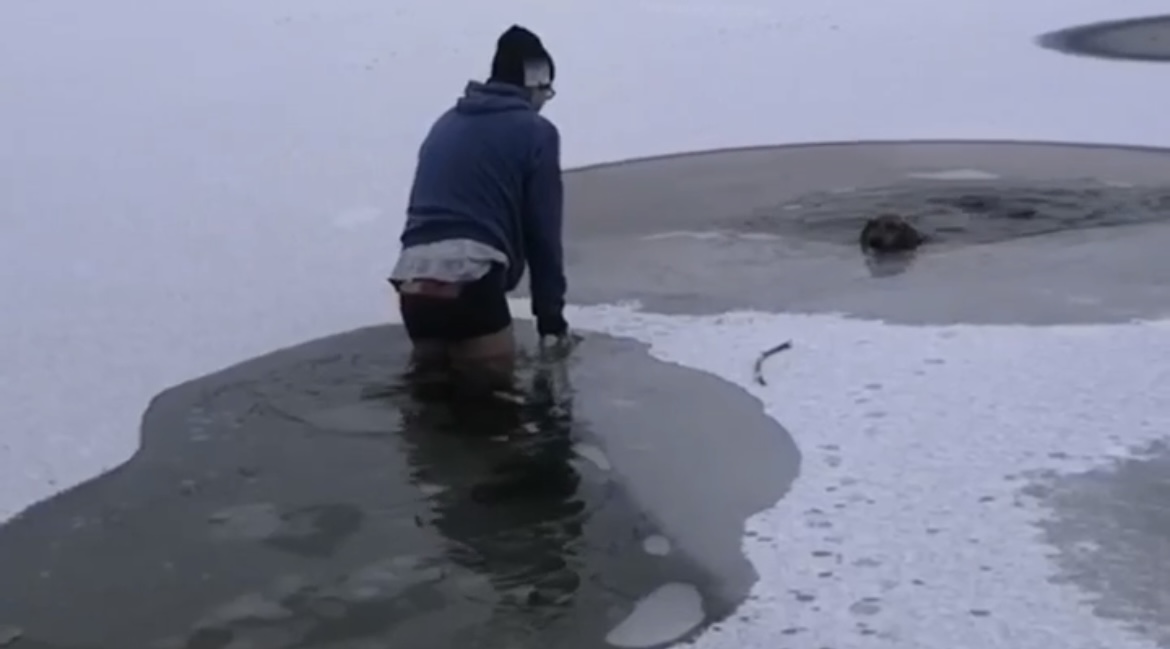 Нижегородец спас из ледяного озера тонущую собаку