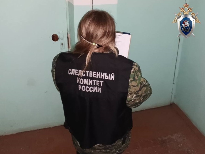 Павловчанин до смерти избил своего отчима ножкой от стола