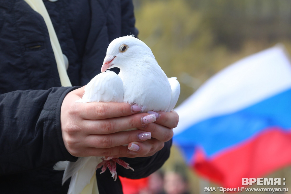 Нижегородцы стали победителями и призерами конкурса «Гимн России понятными словами»