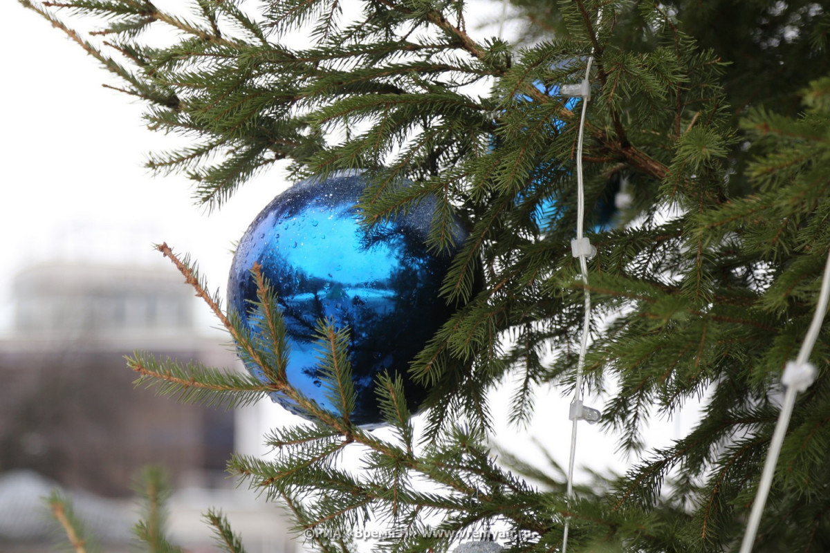 Шесть новогодних елок установили на Бору в этом году
