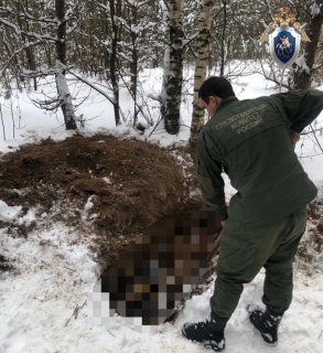 Житель Бора застрелил знакомого и закопал его труп в лесу под Семеновым