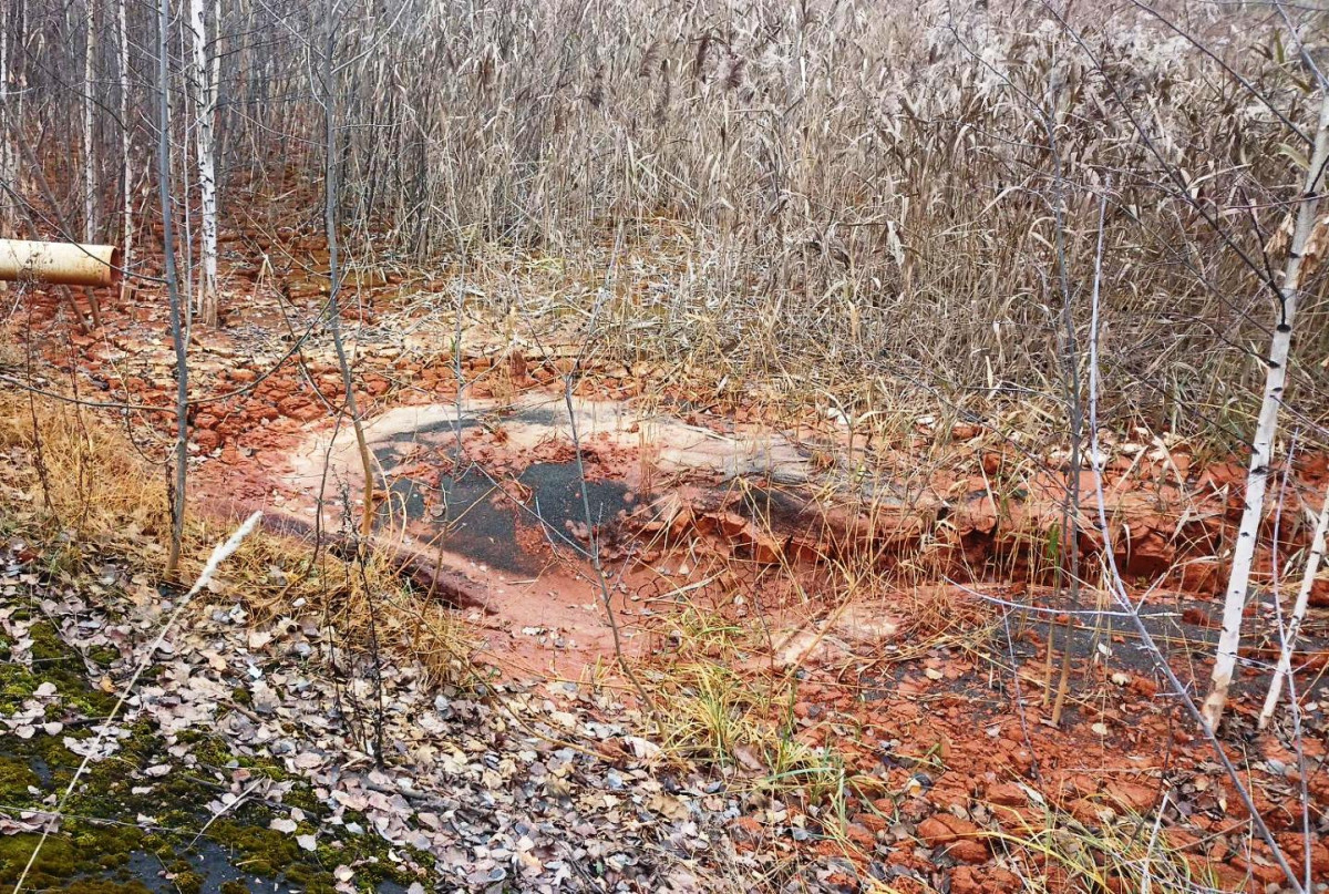 Более 60 экологических нарушений нашли на объектах «Т Плюс» в Нижегородской области