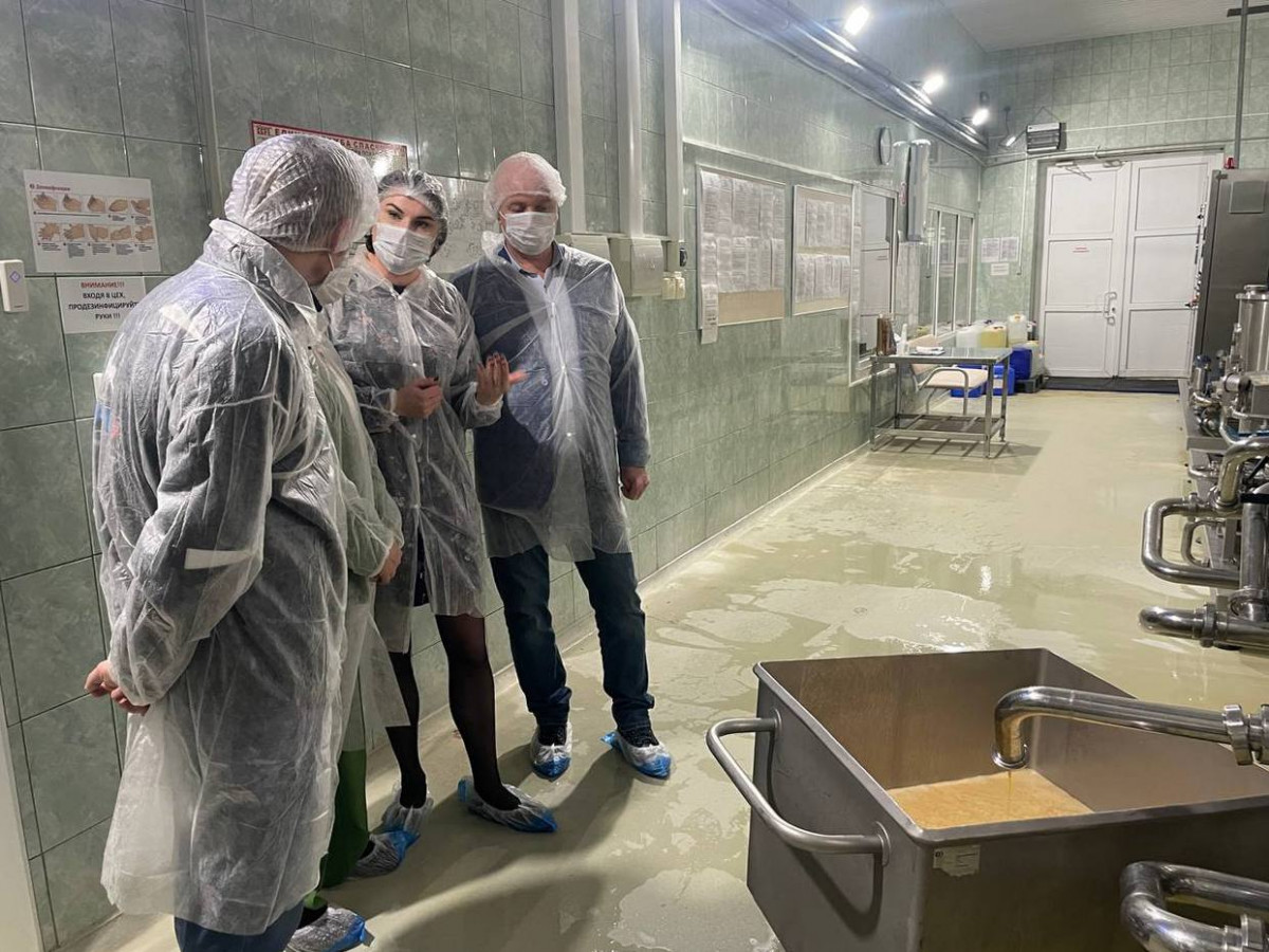 Выработка на богородском производстве яйцепродуктов выросла на 12% благодаря нацпроекту
