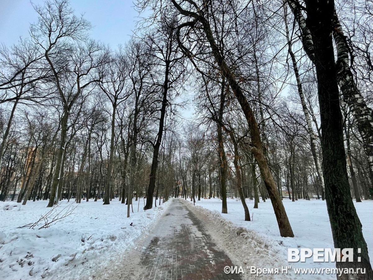 Пасмурно и до −8°С ожидается в Нижнем Новгороде 23 января