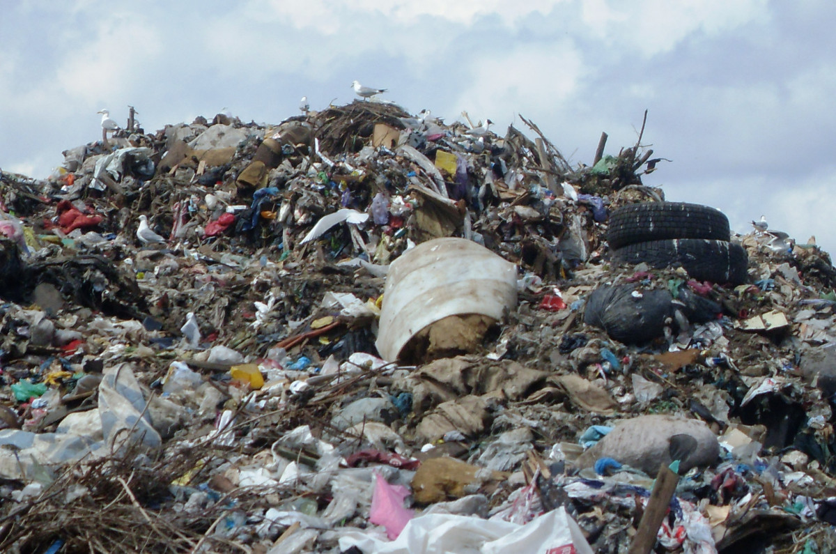 Ущерб почвам от отходов Городецкого полигона ТКО составил более 28,9 миллиона рублей