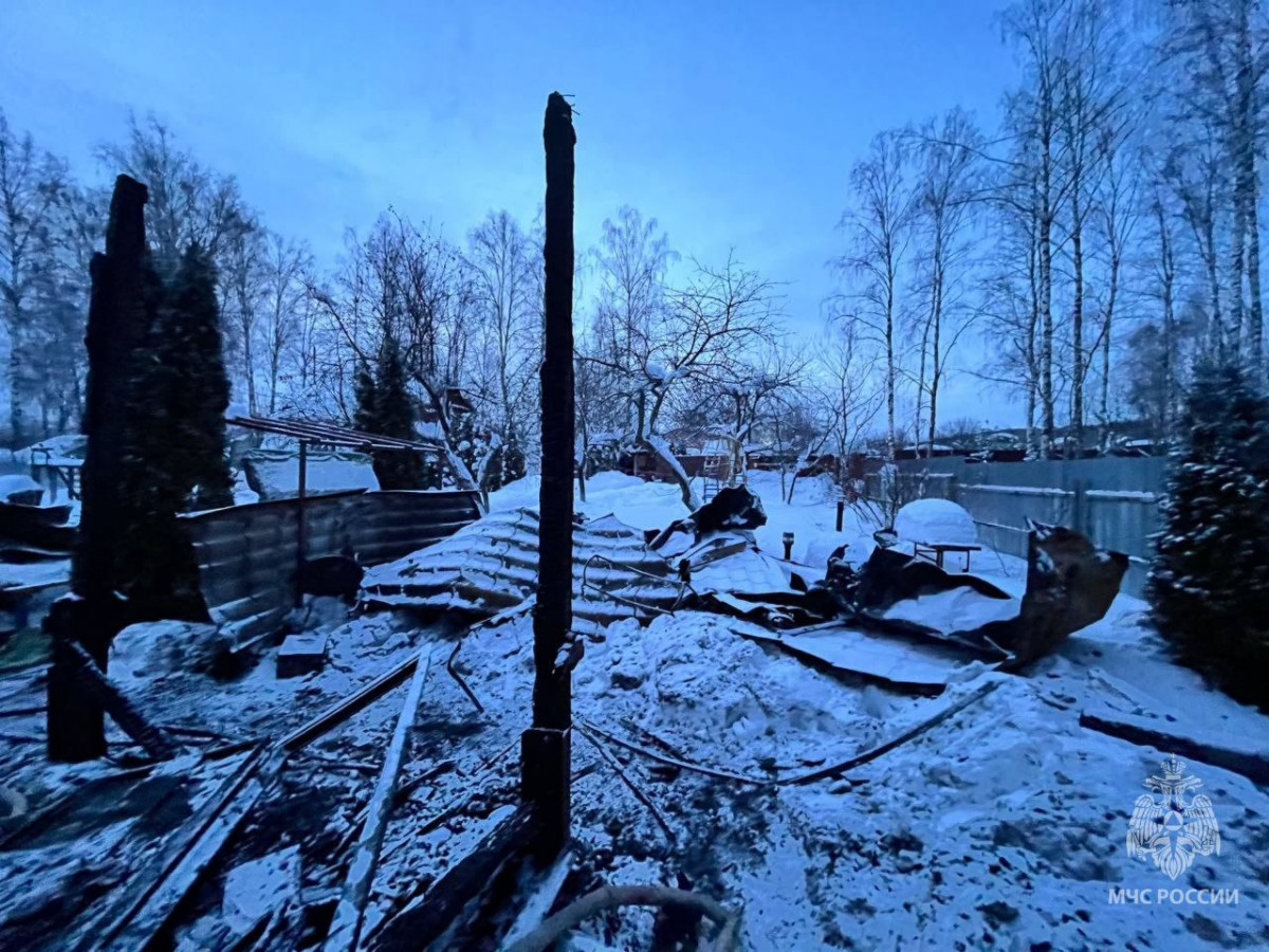 Мужчина погиб на пожаре в садовом доме в Богородске