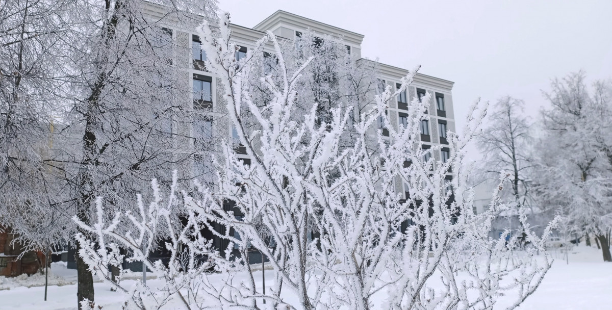 Мороз до −23°С ударит в Нижнем Новгороде в ночь на 15 февраля