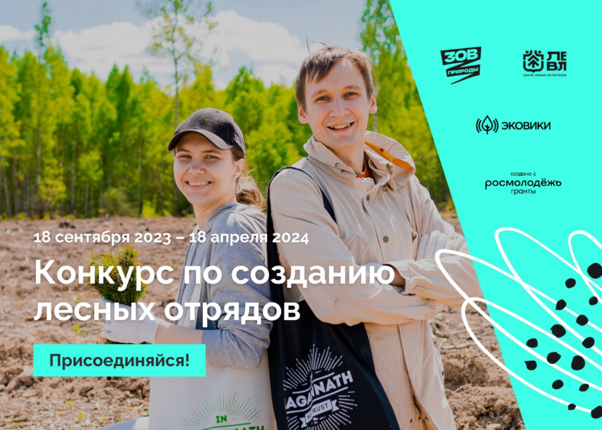 Нижегородцев приглашают присоединиться к сообществу лесных волонтеров