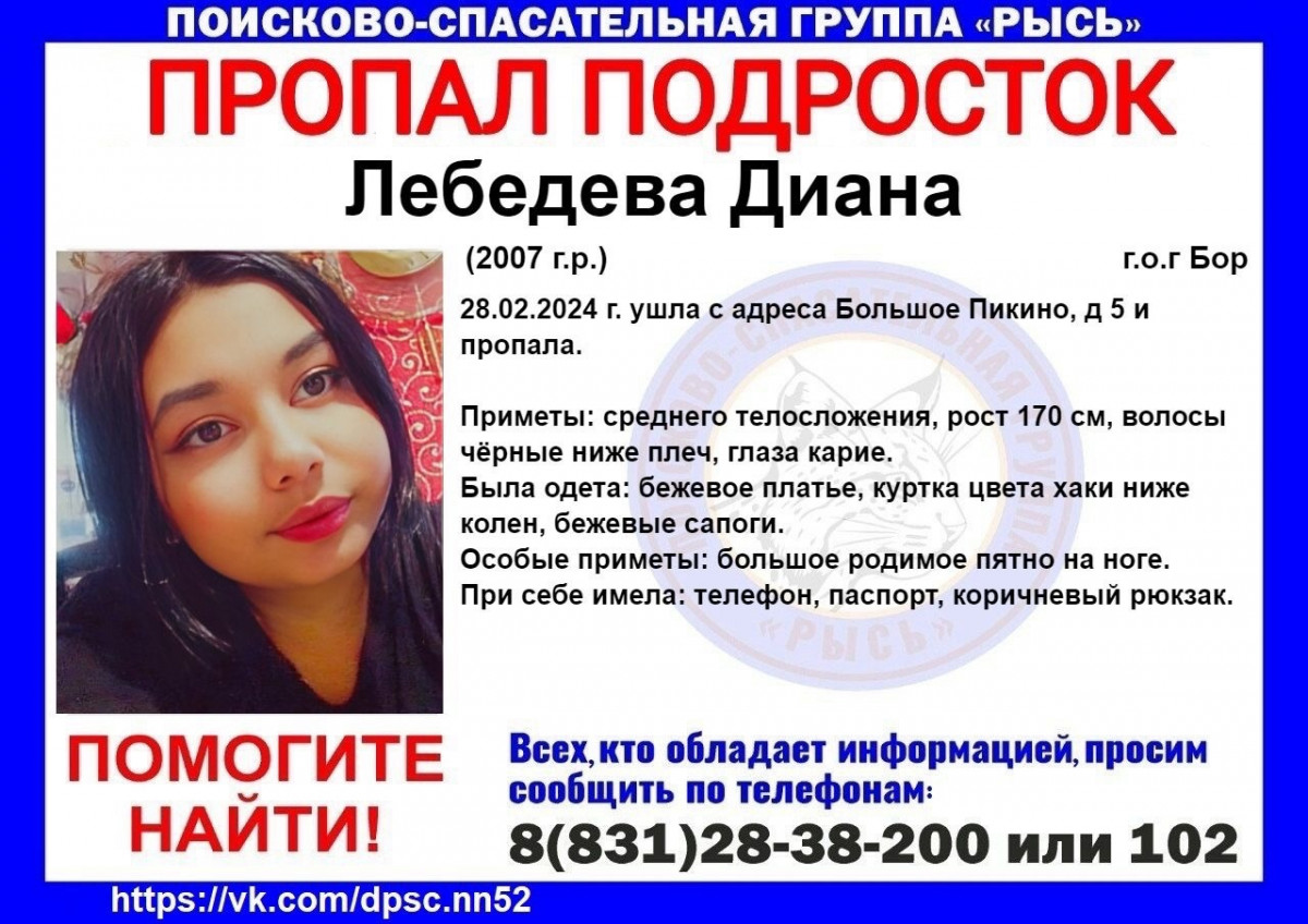 17-летняя Диана Лебедева пропала на Бору в Нижегородской области