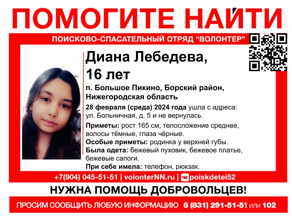 16-летняя Диана Лебедева пропала на Бору в Нижегородской области