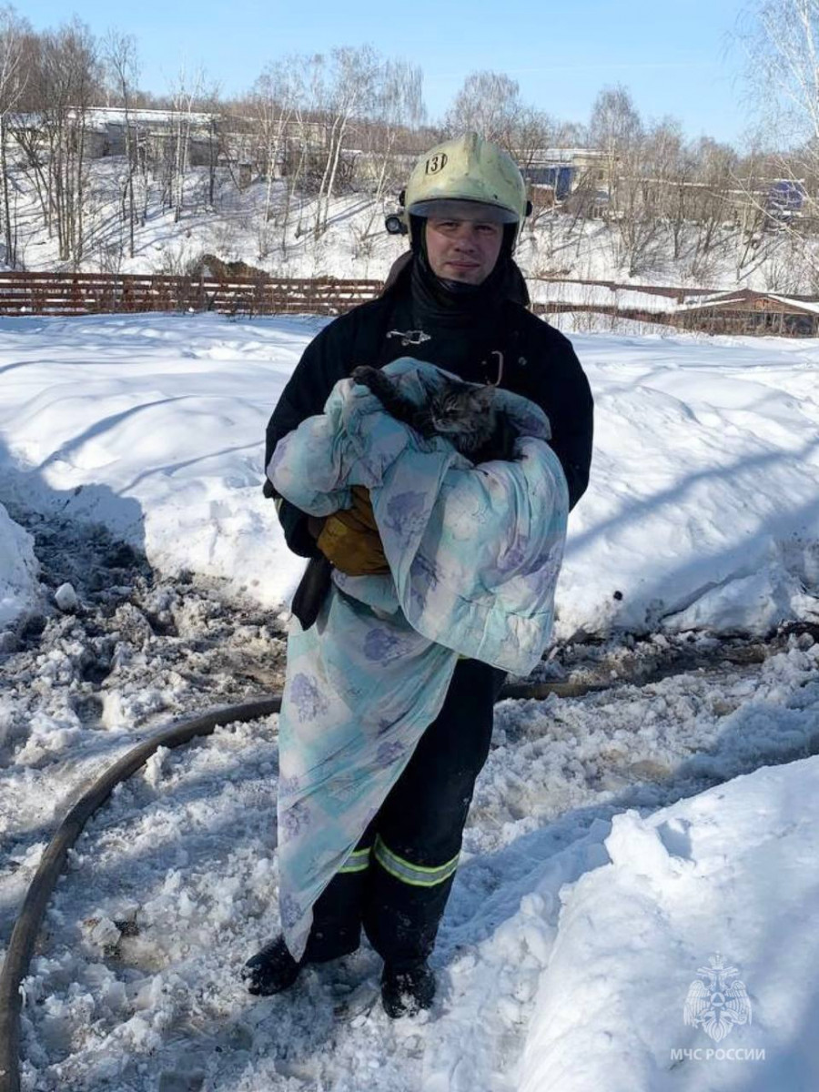 Нижегородские пожарные вынесли двух котов из горящего дома