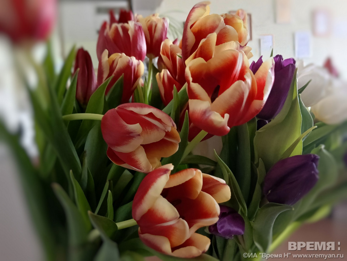 Флористы назвали самые популярные цветы к 8 марта