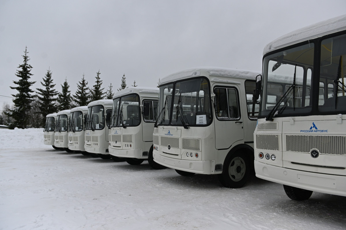 Более 150 новых автобусов вышли на маршруты в муниципальных округах Нижегородской области