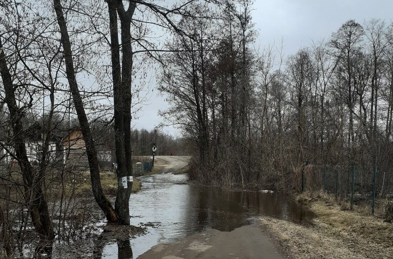 Село Кантаурово на Бору уходит под воду из-за разлива Линды