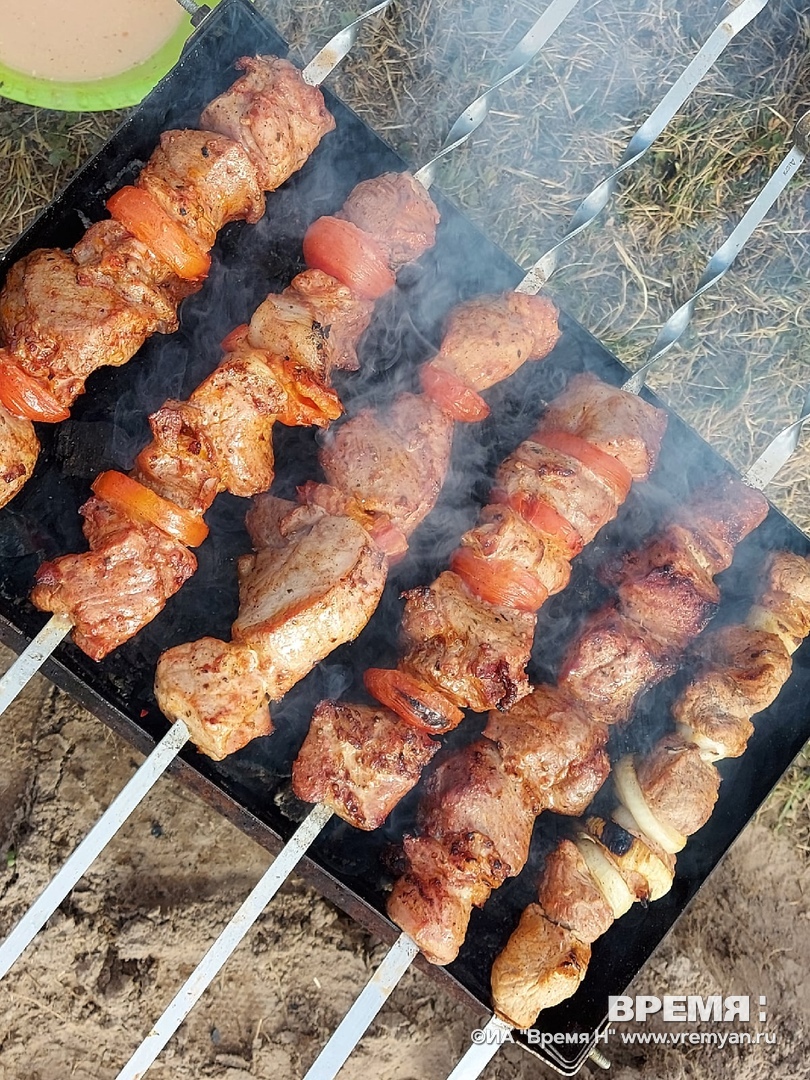 Шашлык из свинины и курицы чаще всего готовят в Нижнем Новгороде