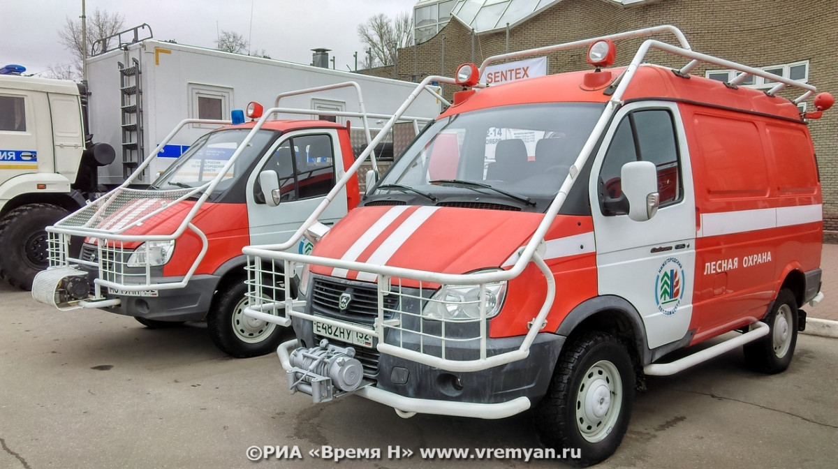 Нижегородская область признана готовой к пожароопасному сезону