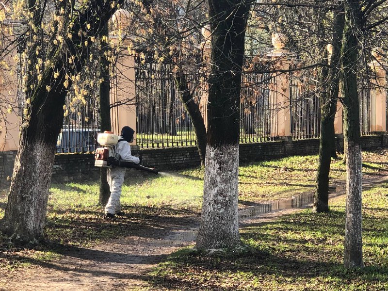 Стало известно, когда нижегородские парки будут обработаны от клещей