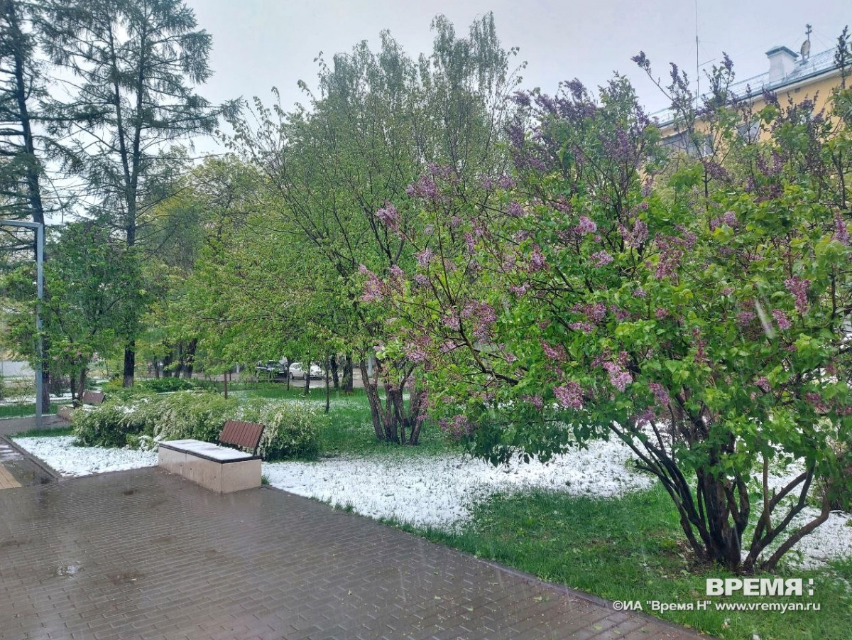 Дождь со снегом и до +4°С ожидается в Нижнем Новгороде 8 мая