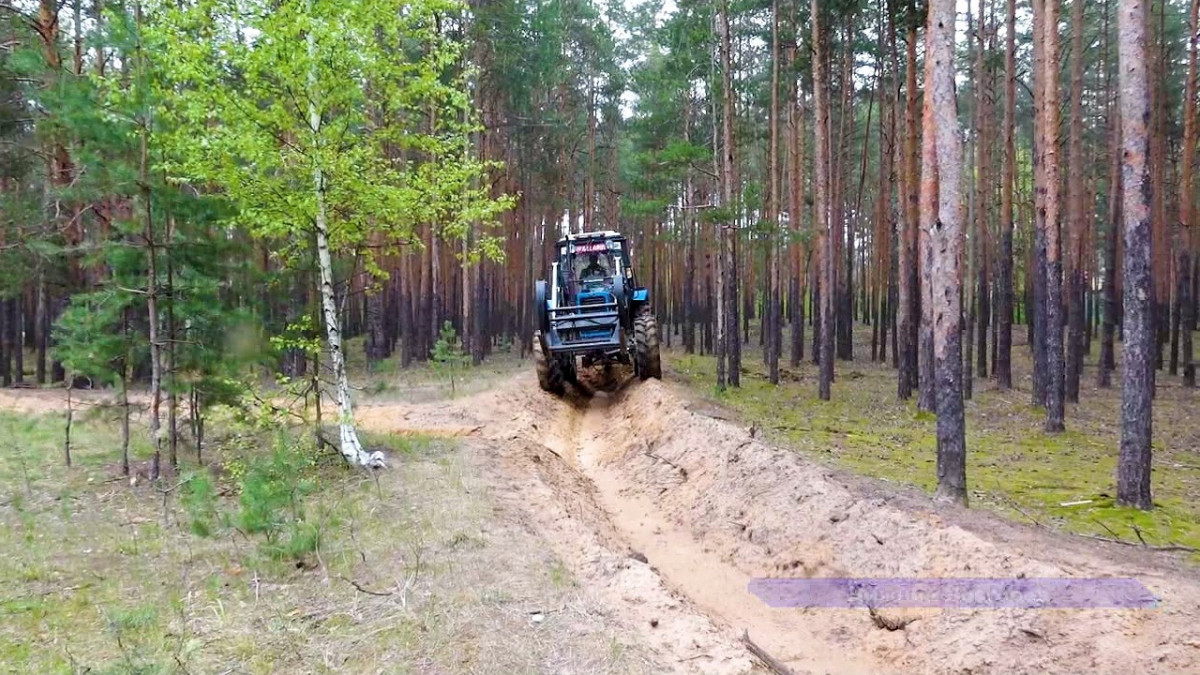 Противопожарные мероприятия проводятся на территории городских лесов Нижнего Новгорода