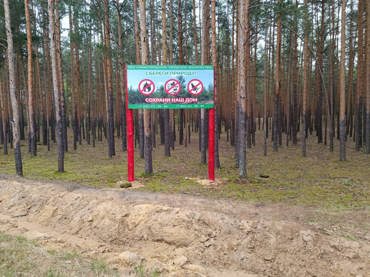 Патрулирование в лесах Нижнего Новгорода будет проводиться по девяти маршрутам протяженностью 438 км