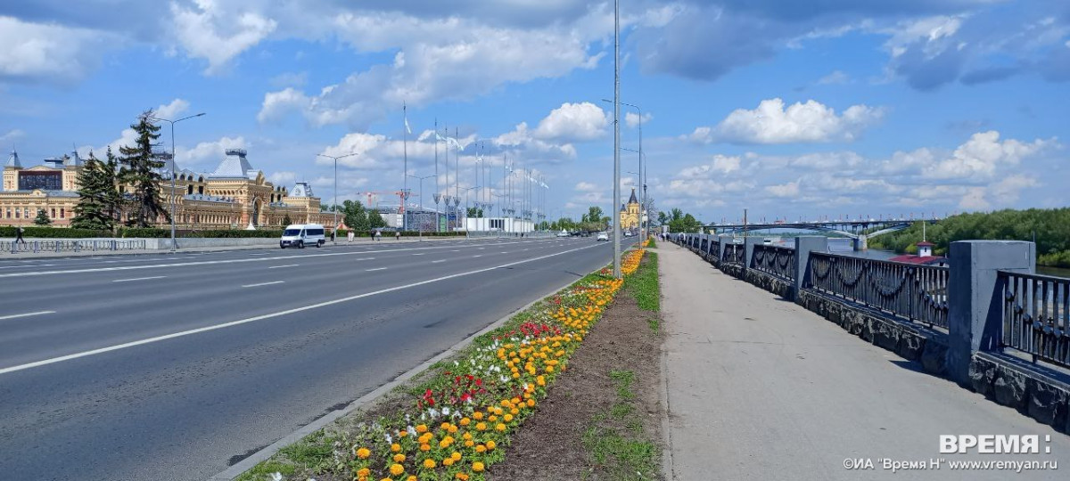 Деревьев на улице Советской больше не будет