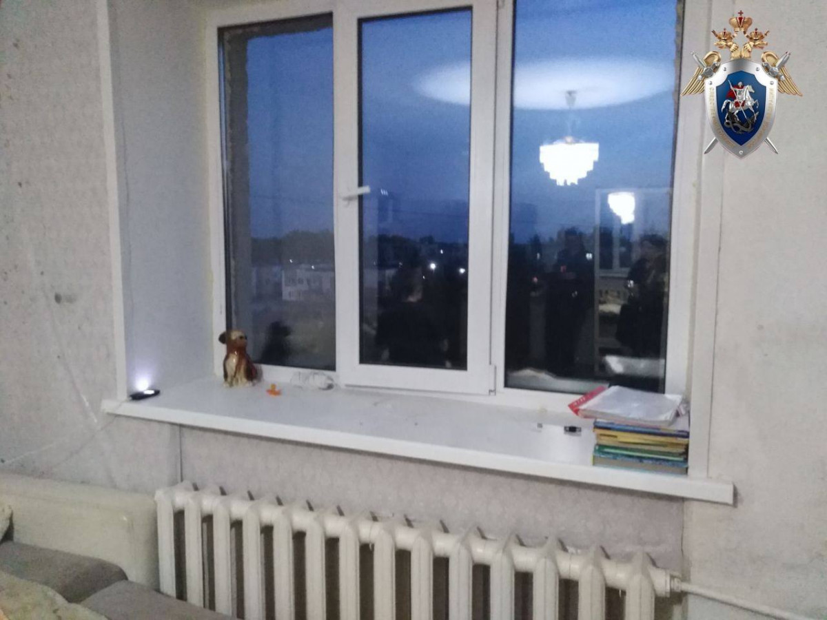 Следователи организовали проверку после трагедии в Богородске