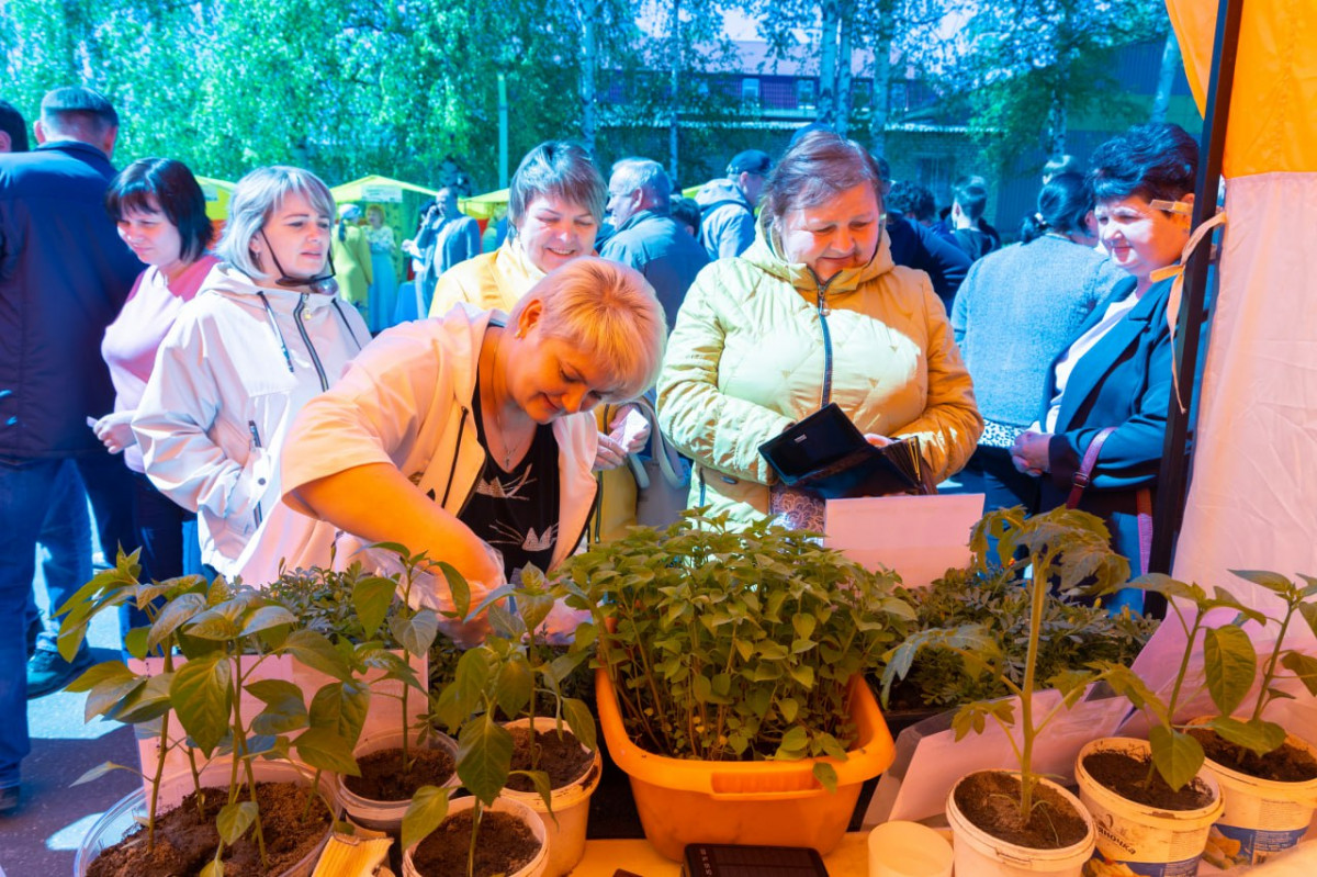45 ярмарок «Покупайте нижегородское» пройдет в июне