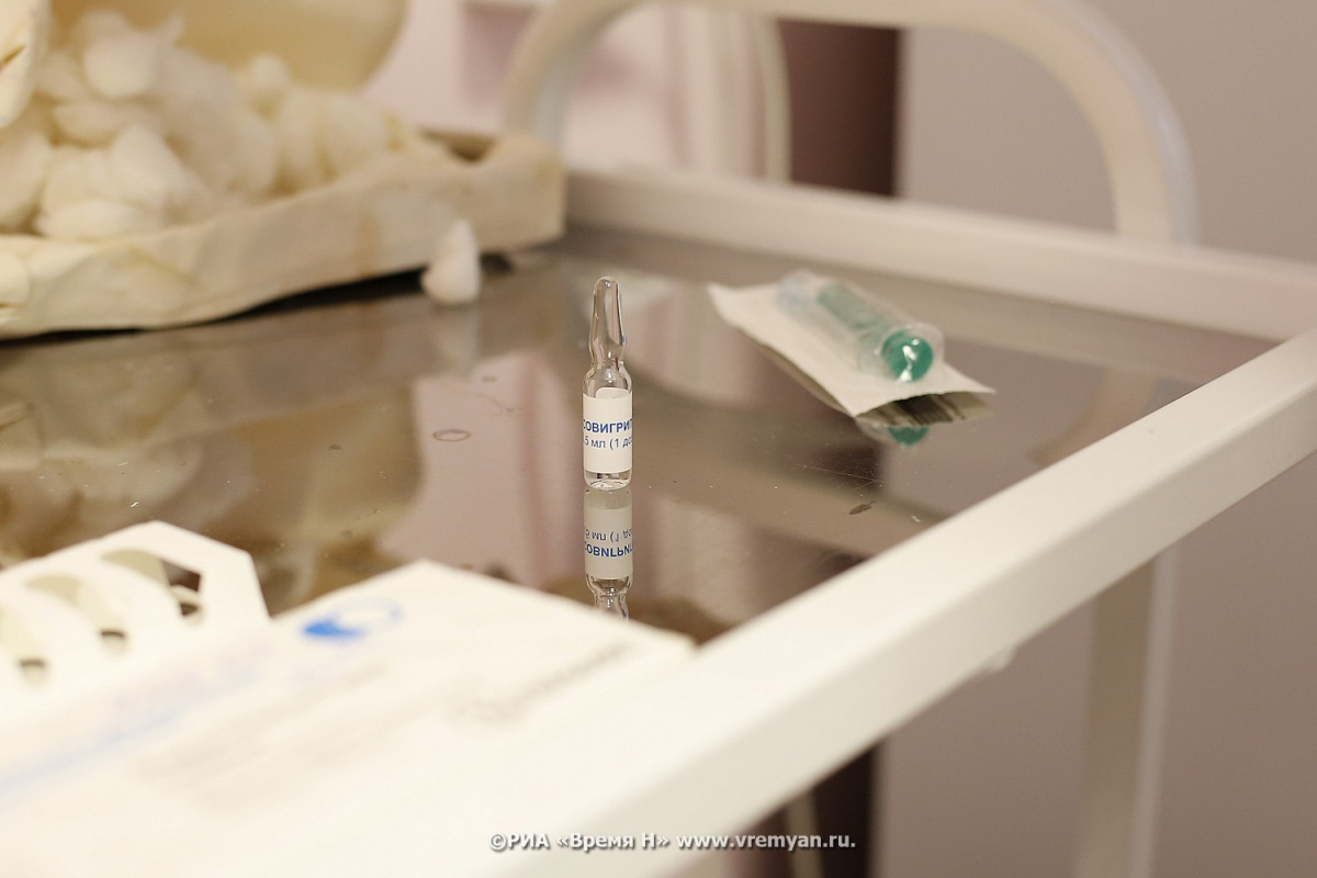 Лихорадка Западного Нила угрожает нижегородцам от местных комаров