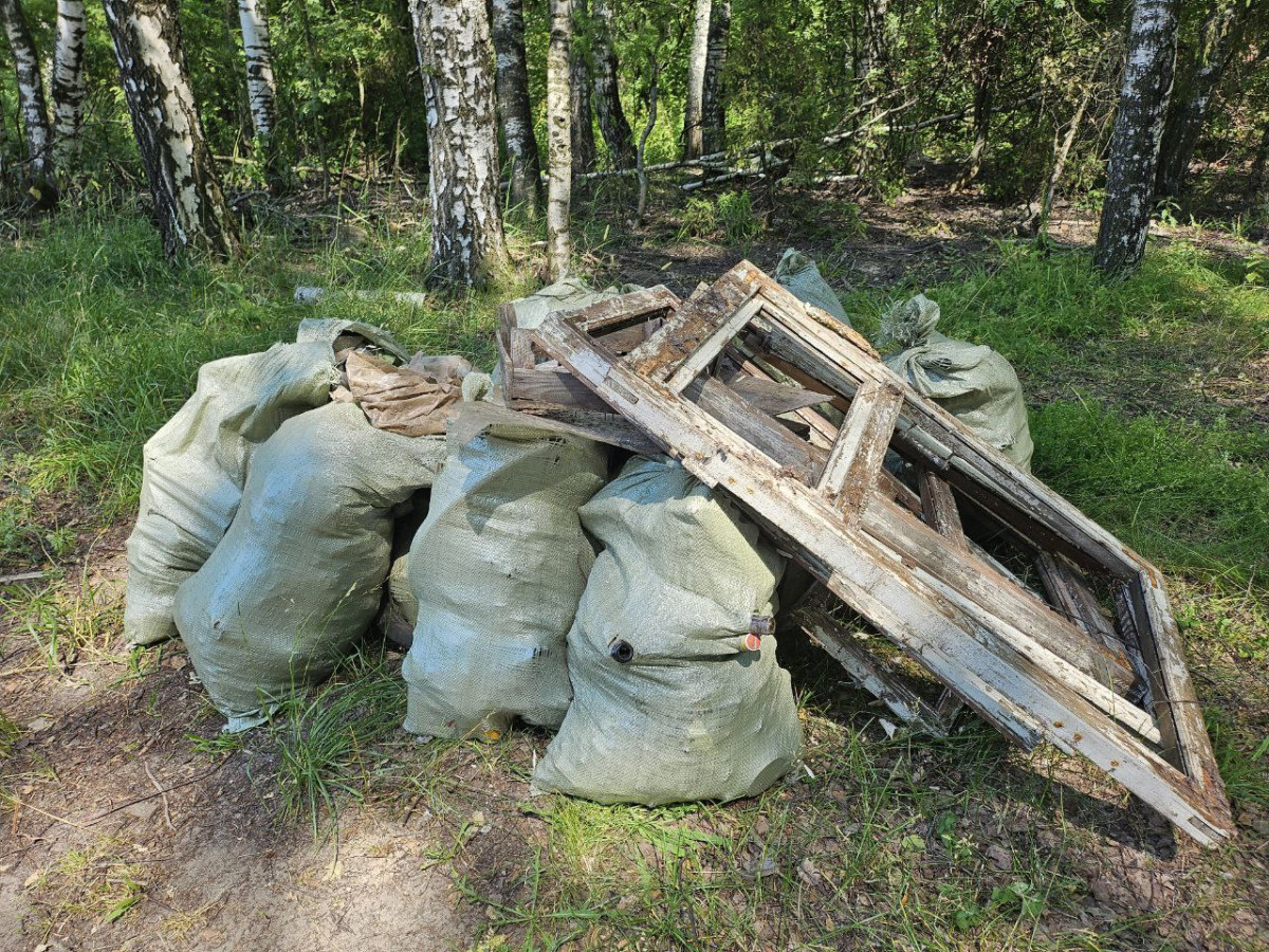 Более 60 кубометров мусора вывезено с территории Городецкого лесничества в рамках акции «Чистый лес»