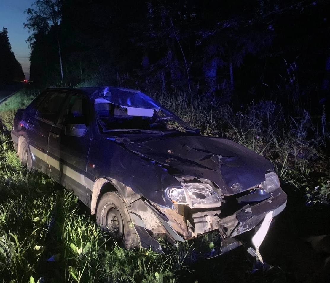 Шесть человек пострадали в ДТП с животными в Нижегородской области