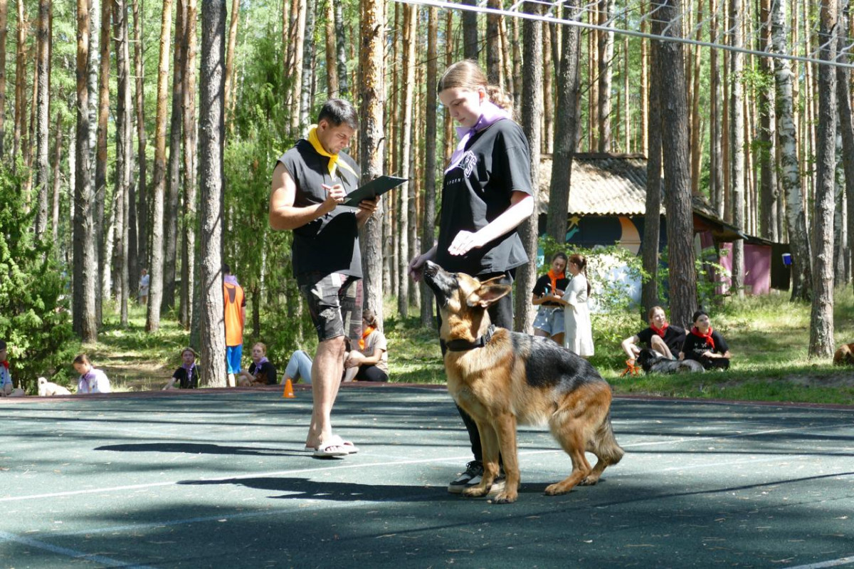 Вопросы по занятиям в школе «Юный кинолог» можно задать 15 июля