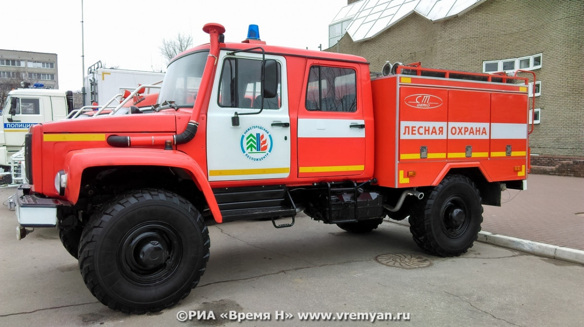 Чрезвычайная пожароопасность лесов сохраняется в Нижегородской области