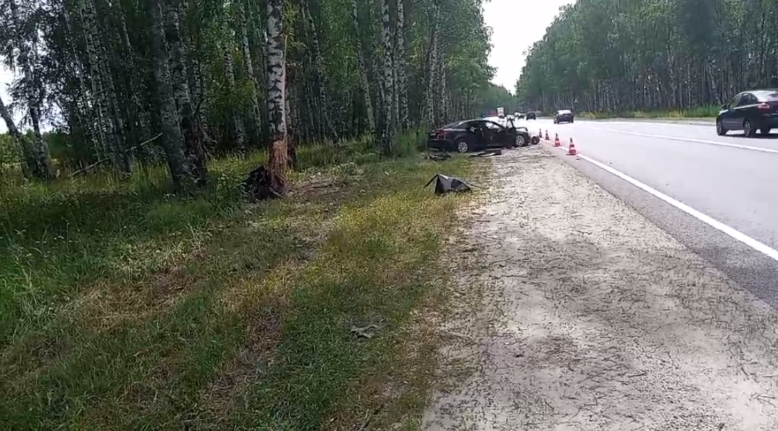 Молодой водитель погиб в результате наезда на дерево на Бору