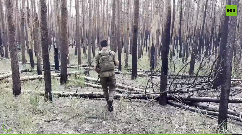 Военкор показал эксклюзивные кадры из выжженных кременских лесов