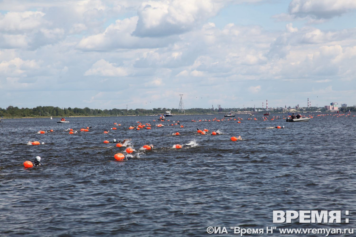 Опубликован фоторепортаж с заплывов через Волгу в Нижнем Новгороде