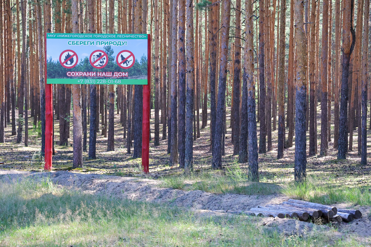 Нижегородское Управление ГОЧС напоминает: в условиях пожароопасного периода важно соблюдать меры предосторожности