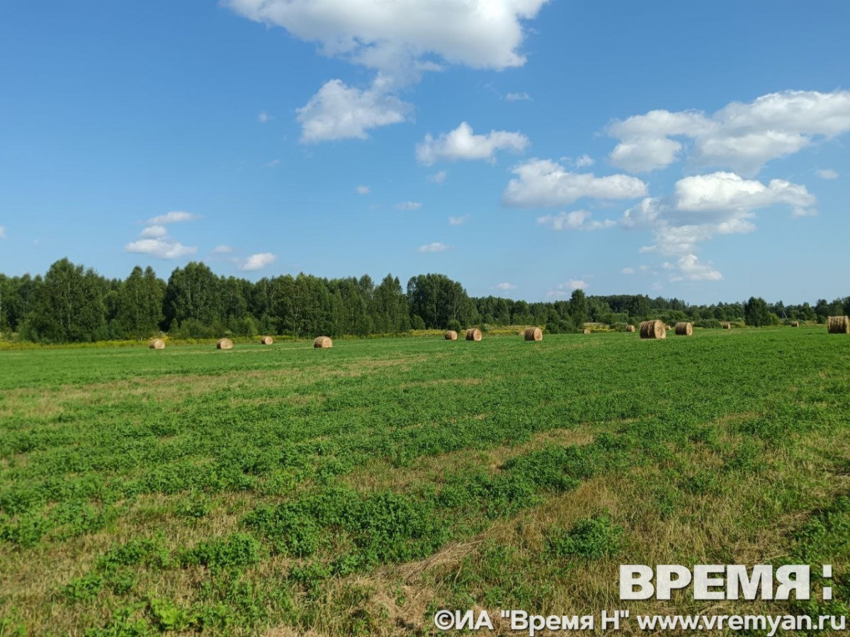 Малооблачно и до +27°С ожидается в Нижнем Новгороде днем 26 августа