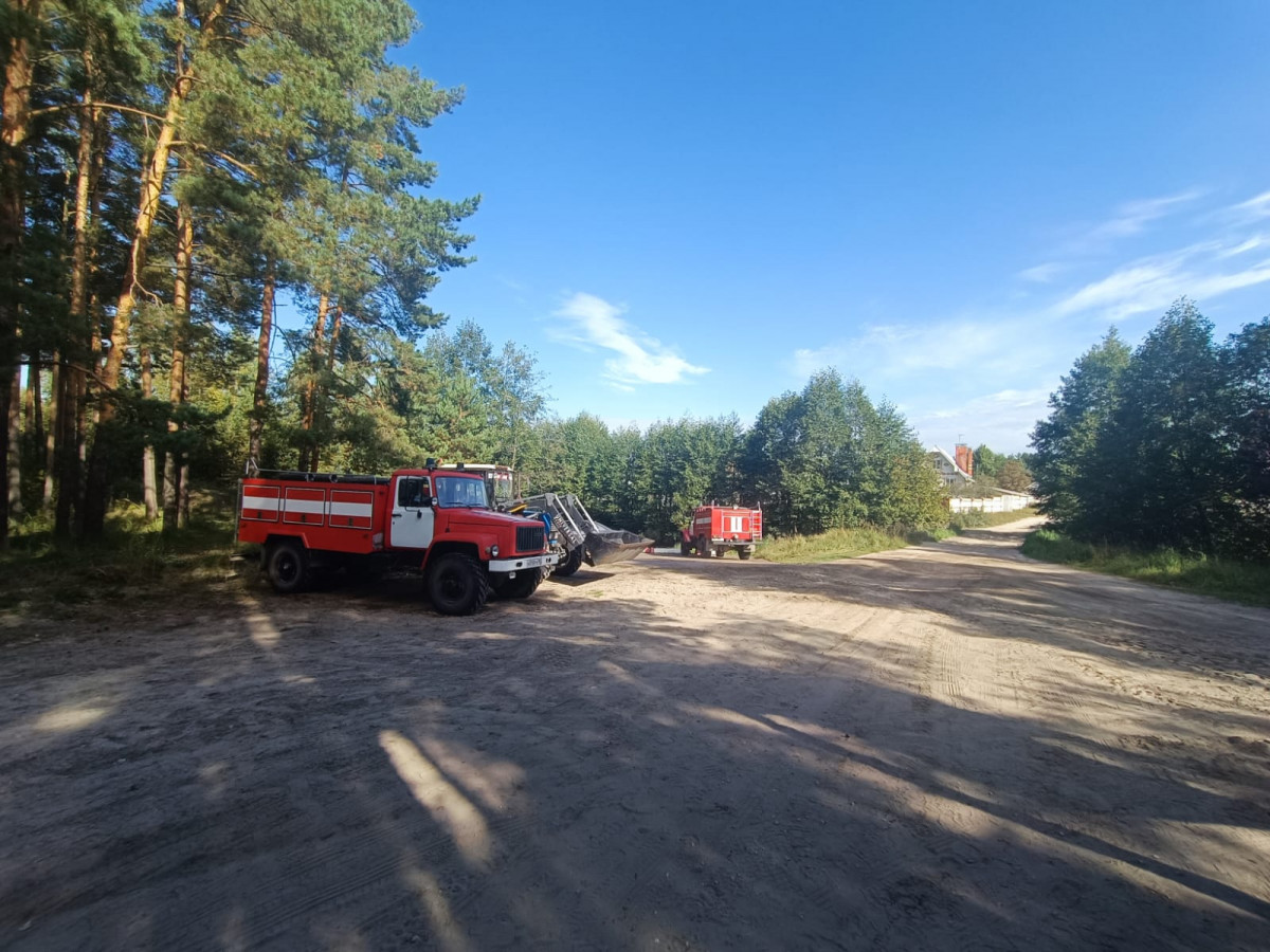 Пятый класс пожарной опасности действует на территории городских лесов Нижнего Новгорода