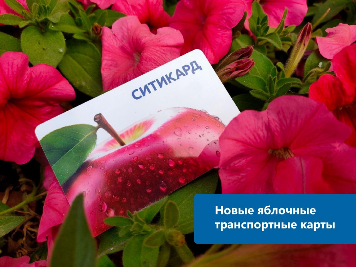 Транспортные карты в «яблочном» дизайне появились в Нижнем Новгороде