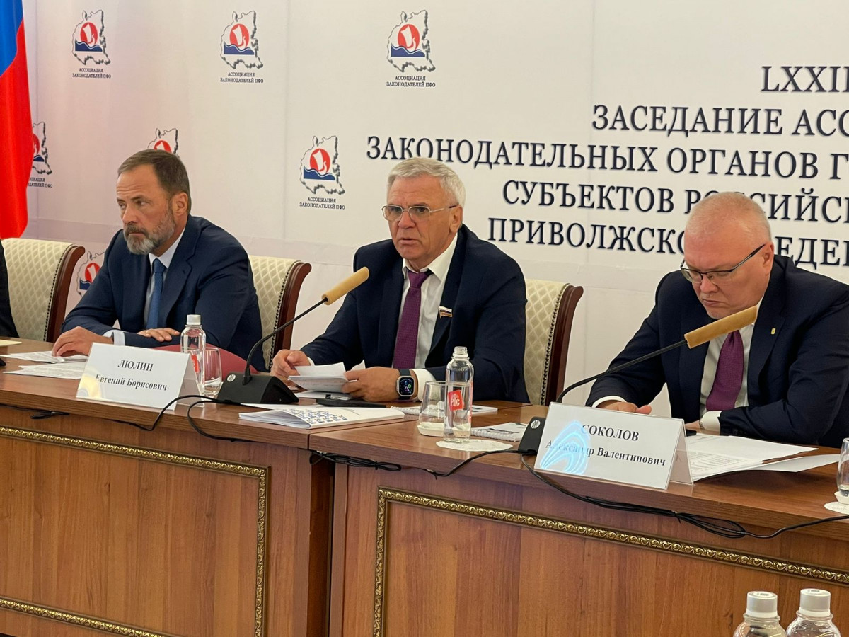 Люлин: опыт регионов ПФО — ценнейший материал для законодателей всей страны