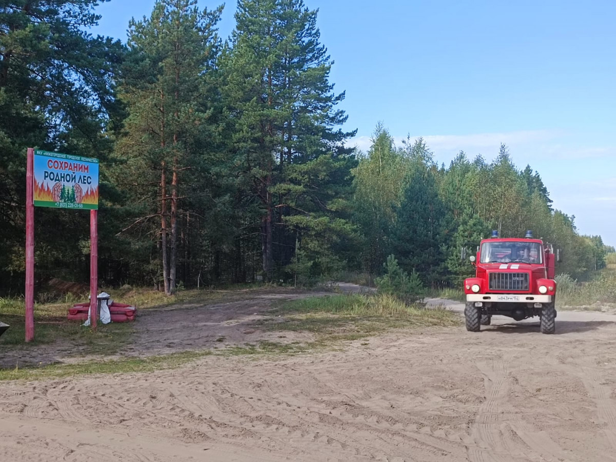 Пятый класс пожарной опасности действует на территории лесов Нижнего Новгорода